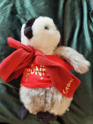 Photo from customer review