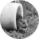 Leonie Bryant profile picture